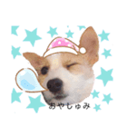 JRT☆ステラ（個別スタンプ：13）