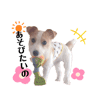 JRT☆ステラ（個別スタンプ：18）