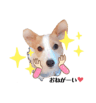 JRT☆ステラ（個別スタンプ：21）