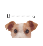 JRT☆ステラ（個別スタンプ：22）