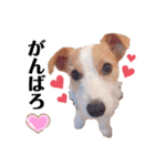 JRT☆ステラ（個別スタンプ：23）