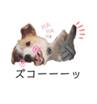 JRT☆ステラ（個別スタンプ：24）