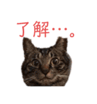 まーくん20180910（個別スタンプ：16）
