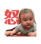 ぜんちゃろといっしょ（個別スタンプ：8）