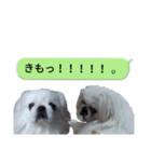 レオン＆シェリー《ペキニーズ》2（個別スタンプ：2）