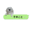 レオン＆シェリー《ペキニーズ》2（個別スタンプ：9）