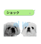 レオン＆シェリー《ペキニーズ》2（個別スタンプ：10）