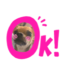 ベアくんです！（個別スタンプ：5）