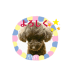 まいにち pinky③（個別スタンプ：1）