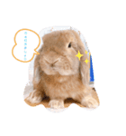 わが家のレオ（個別スタンプ：2）