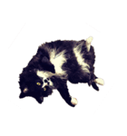 地獄猫アバスさん（個別スタンプ：3）