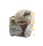 毛玉1（個別スタンプ：7）
