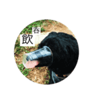 ぶんぶく二（個別スタンプ：2）