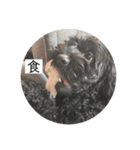 ぶんぶく二（個別スタンプ：5）