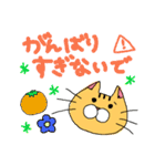 日常会話(ネコ)（個別スタンプ：15）