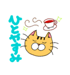 日常会話(ネコ)（個別スタンプ：19）