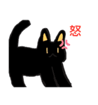 ゆる猫日常（個別スタンプ：1）