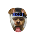 こーだいぽよーん（個別スタンプ：1）