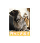 うさぎ2018（個別スタンプ：5）