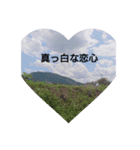 ぽのぼの（個別スタンプ：1）