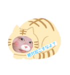 コレクトオブしゅんすけ（個別スタンプ：1）