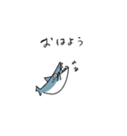 シンプルザメ（個別スタンプ：1）