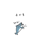 シンプルザメ（個別スタンプ：34）