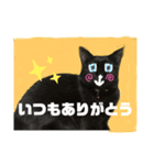 わたしとねこちゃん3（個別スタンプ：6）