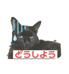 わたしとねこちゃん3（個別スタンプ：8）