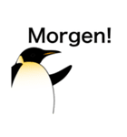 ダンディペンギン ドイツ語版（個別スタンプ：19）