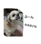 我が家のキャップさん⑥（個別スタンプ：3）