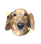 まりはなスタンプ（個別スタンプ：1）