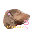 まりはなスタンプ（個別スタンプ：3）
