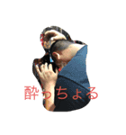 ノブさんスタンプ8（個別スタンプ：4）