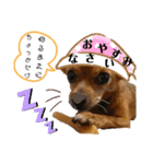 みるこちゃん3（個別スタンプ：3）