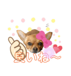 みるこちゃん3（個別スタンプ：4）