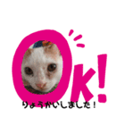 ミニねこストーリーズ（個別スタンプ：4）