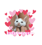 ミニねこストーリーズ（個別スタンプ：5）