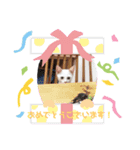 ミニねこストーリーズ（個別スタンプ：7）