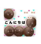 タピオカのオカちゃん。日常One（個別スタンプ：13）