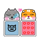 MeowMe Friends - 毎日のフレーズ01（新）（個別スタンプ：36）