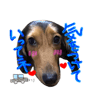KK.Nオリジナルスタンプ（個別スタンプ：8）