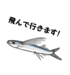 釣り好き・魚好きが喜ぶスタンプ（個別スタンプ：4）