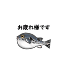 釣り好き・魚好きが喜ぶスタンプ（個別スタンプ：6）