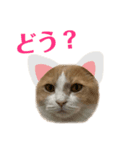 うみとそらとゆりのスタンプ（個別スタンプ：2）