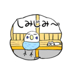ピーコとどんきち日常編2（個別スタンプ：3）