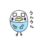 ピーコとどんきち日常編2（個別スタンプ：13）
