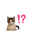 さくらとちゅび（個別スタンプ：2）