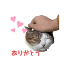 さくらとちゅび（個別スタンプ：6）