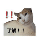 さくらとちゅび（個別スタンプ：7）